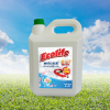 Nước giặt xả 2 in 1 Ecolife can 5L